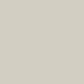 4176-mushroom