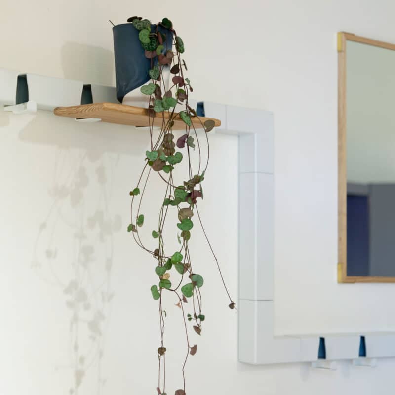 Vij5 Coatrack by the Meter koppelstukken Edwin Pelser (image by Vij5) (27) Vij5 Coatrack by the Meter koppelstukken Edwin Pelser (image by Vij5) (27)